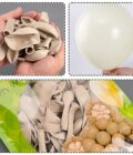 White Sand Balloons 50 pcs 12 inch - Image 4