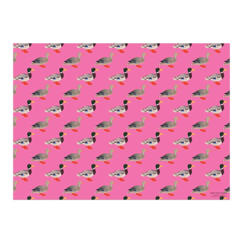 birthday wrapping sheet