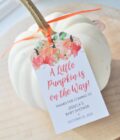 Baby Shower Favor Tags Set of 12