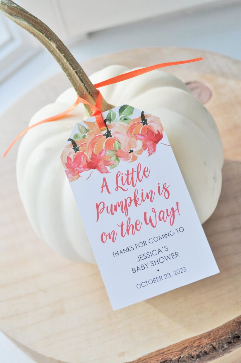 Baby Shower Favor Tags Set of 12