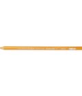 Colored Pencil Set - Yellowed Orange