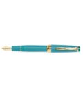 professional slim fountain pen medium fine