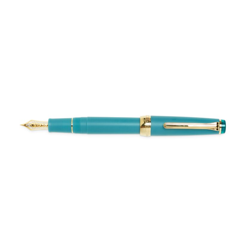 professional slim fountain pen medium fine