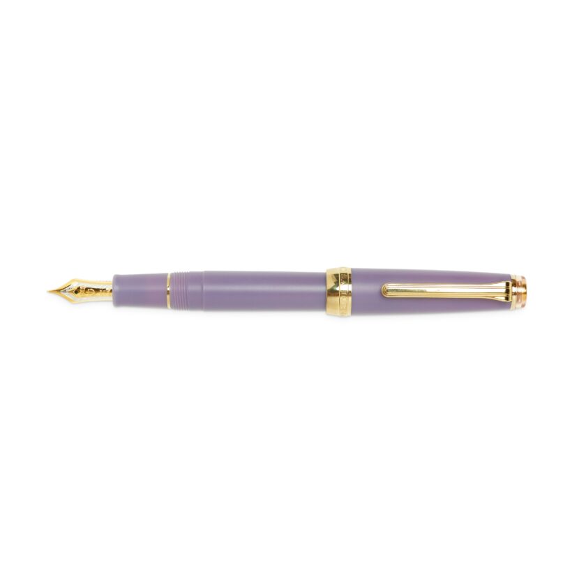 professional slim fountain pen medium fine