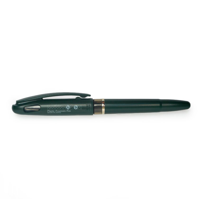 plastic fountain pen with flexible nib - Image 3