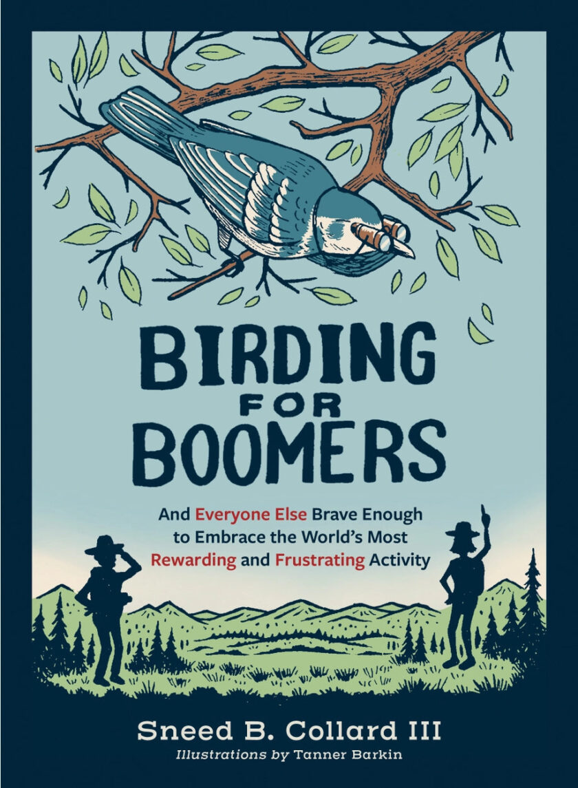 Bird Watching Guide for Beginners
