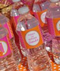 Pumpkin Harvest Beverage Labels