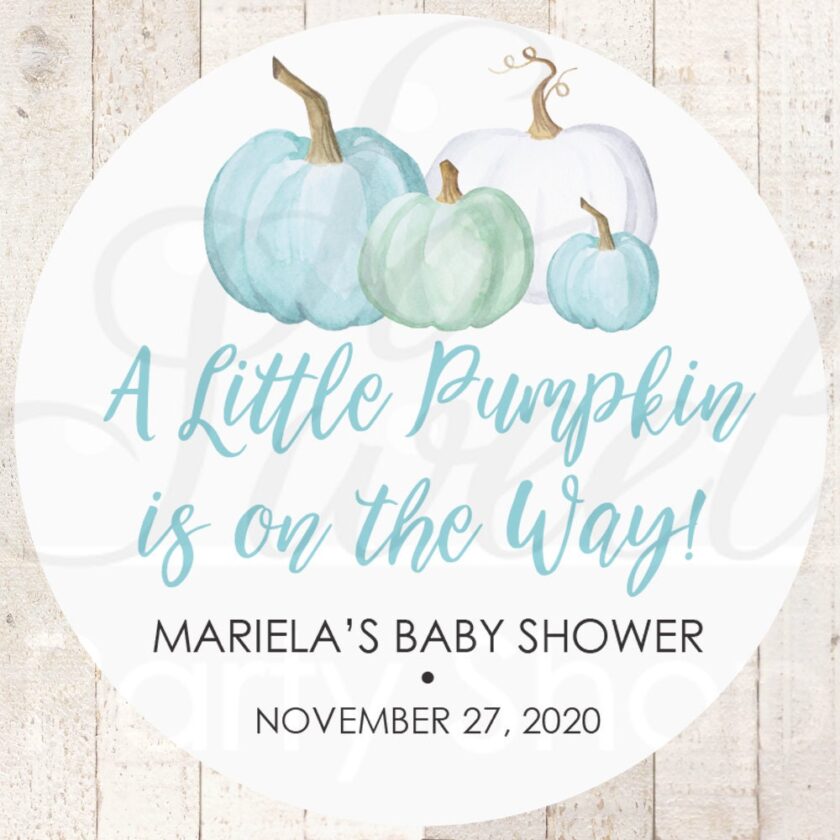 Baby Shower Favor Stickers Set of 24