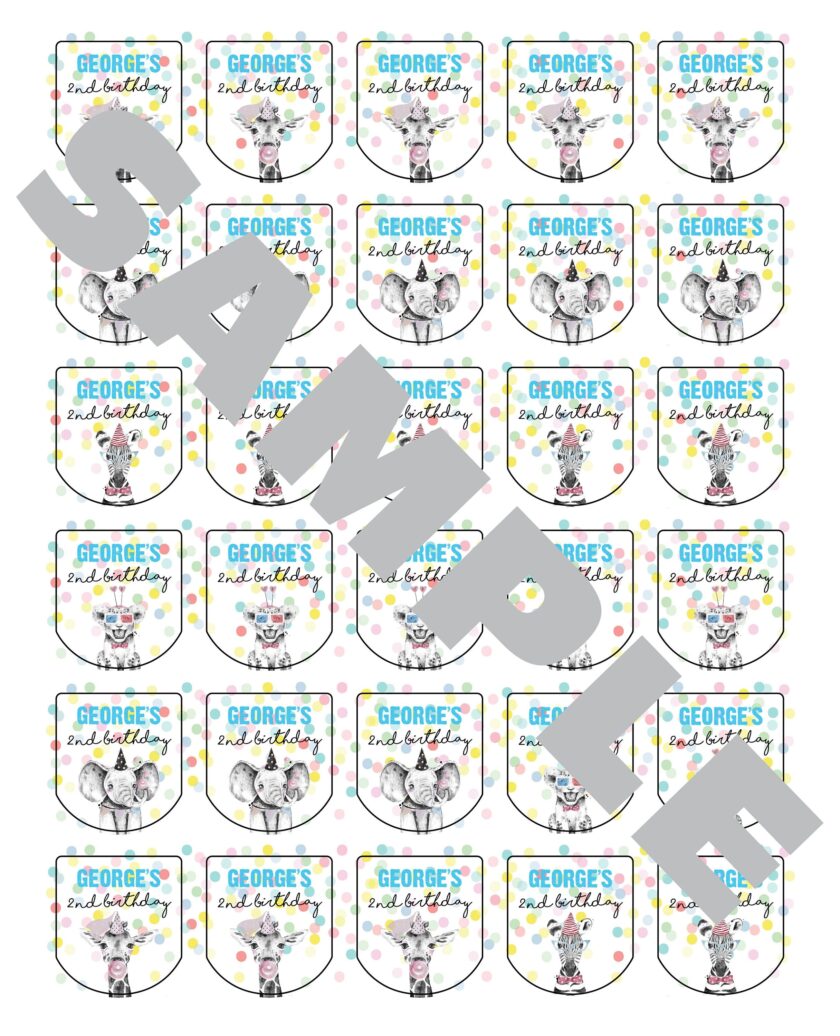 Birthday Party Favor Labels Set of 30
