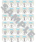 Birthday Party Sanitizer Labels Set of 30