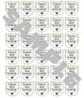 Graduation Sanitizer Labels Set of 30 - Image 2