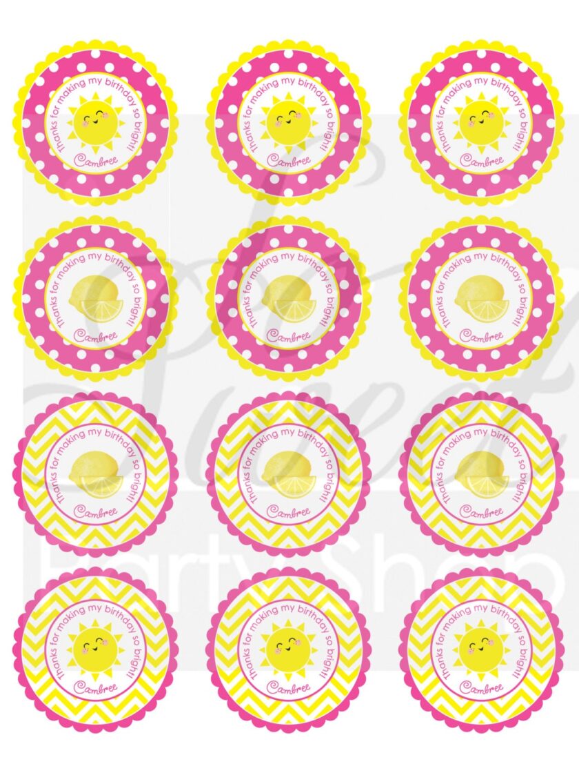 Sunshine and Pink Lemonade Birthday Party Stickers Set of 24 - Image 2