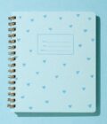 Blue Hearts Journal