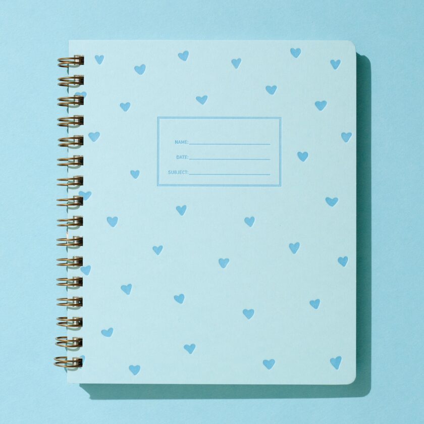 Blue Hearts Journal