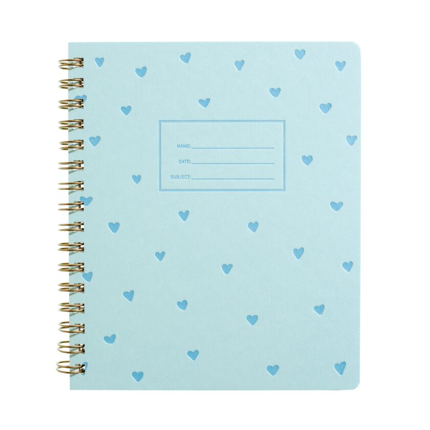 Blue Hearts Journal - Image 2