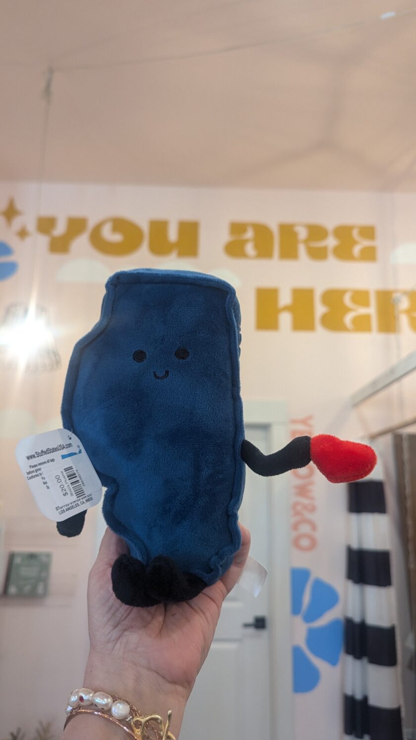 Plush State Friend - Image 3