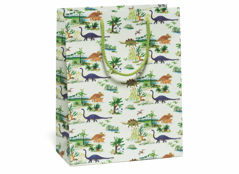 dinosaur themed gift pouch