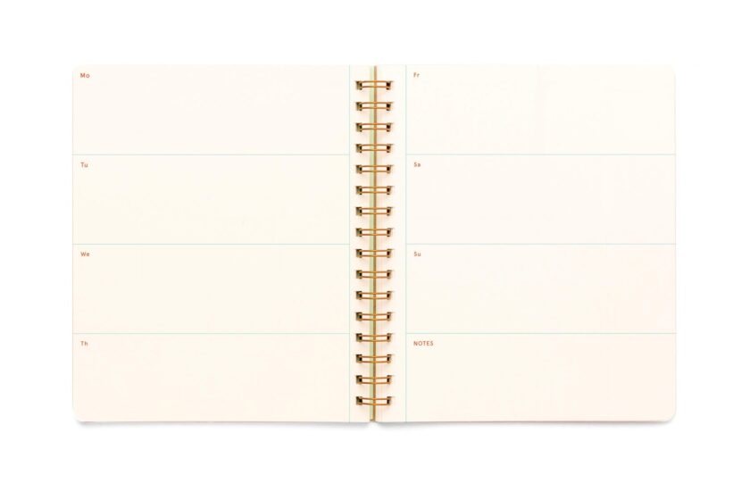 Evening Organizer