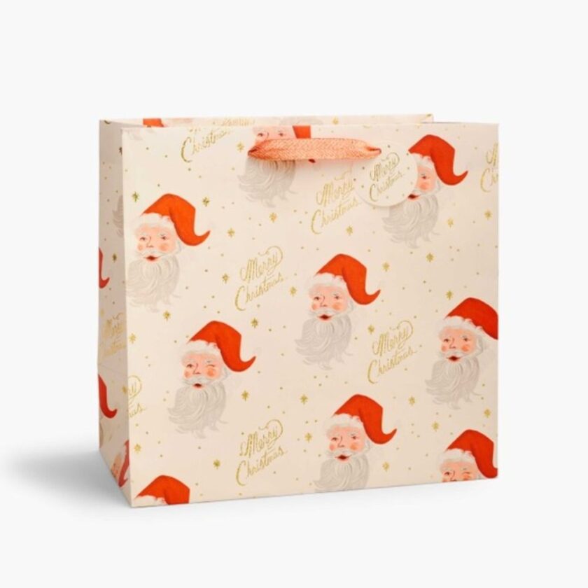 holiday gift bag large