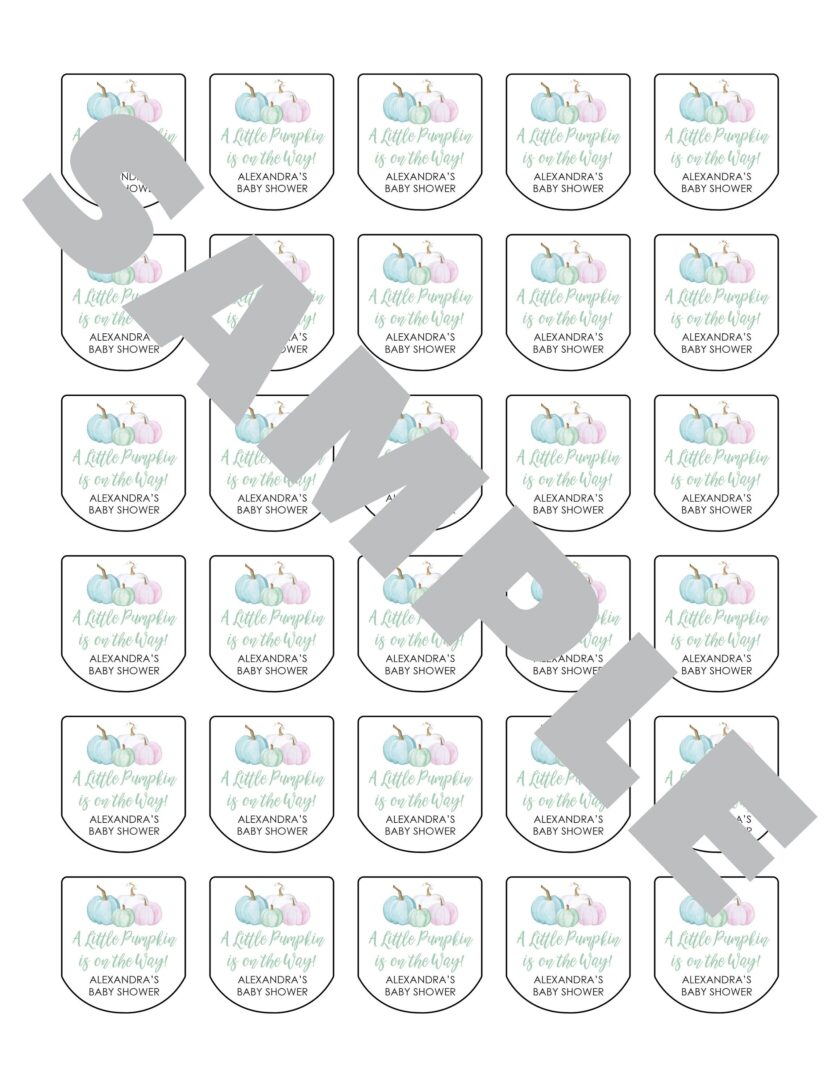 Multicolor Baby Shower Sanitizer Favor Labels Set of 30