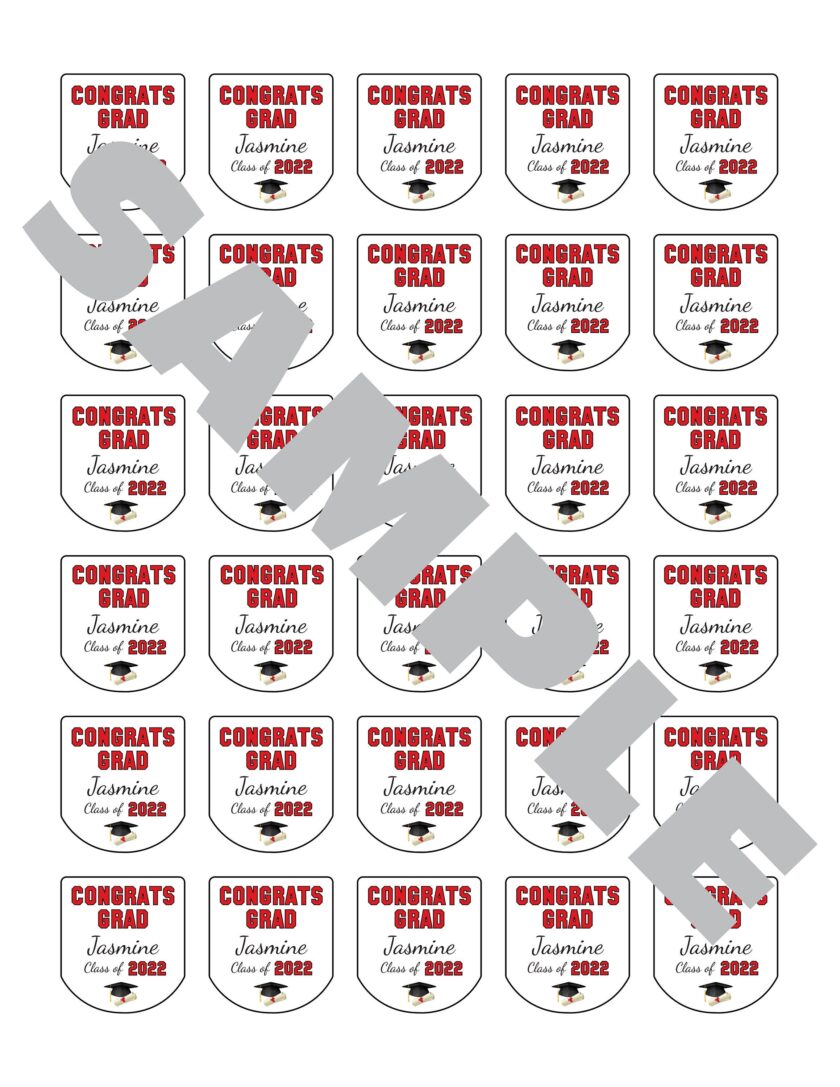 Graduation Sanitizer Labels Set of 30 - Image 3